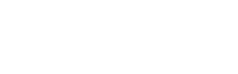 partner icon